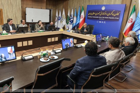 کمیته مشورتی توسعه فعالیت های حوزه اتومبیلرانی و وسایل نقلیه گردشگری