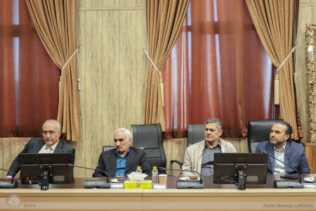 کمیته مشورتی توسعه فعالیت های حوزه اتومبیلرانی و وسایل نقلیه گردشگری